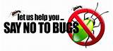 Best Pest Control Tallahassee Images