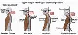 Upper Body Muscle Exercise Pictures