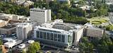 Seattle University Medical School