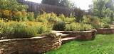 Greensboro Landscaping Companies Images