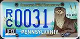 Images of River Otter License Plate Pa