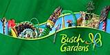Busch Gardens Tampa Tickets Fl Residents Images