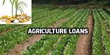 Photos of Types Of Loans In Agriculture
