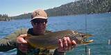 Tahoe Fishing