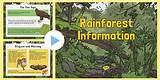Photos of Rainforest Survival Kit