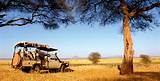 Africa Safari Tour Packages Pictures