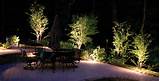 Pictures of Landscape Lighting In Trees