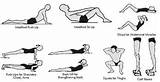 Pictures of Different Types Of Fitness Exercises