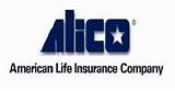 American Life Insurance Company Alico Photos