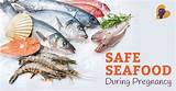 Pictures of Safe Fish To Eat While Pregnant
