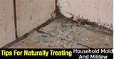 Treating Mold In Home Images