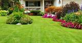 A Beautiful Yard Landscaping Images