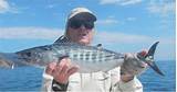 Everglades City Charter Fishing Images