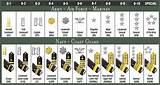 Photos of Order Of Us Military Ranks