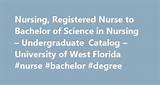 Bachelor Degree Of Science In Nursing