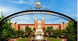Pictures of University Of Florida Information Systems