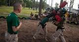 Pictures of Us Marines San Diego Boot Camp