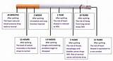Smoking Recovery Timetable Images