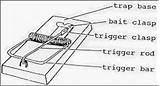 Pictures of Mouse Trap Diagram
