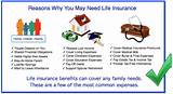 Best Life Insurance For Young People