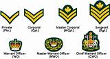 West Point Cadet Ranks Images