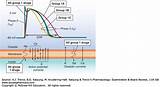 Images of Class Iii Antiarrhythmics List