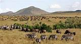 Photos of Best Safari Park In Kenya