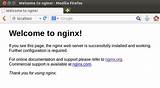 Pictures of Nginx Host
