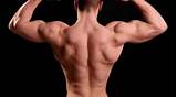 Back Muscle Exercises Images