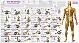 Workout Routines Exercise Ball Pictures