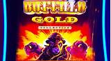 Play Buffalo Gold Online