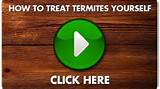Eliminate Termites Yourself Images