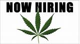 Marijuana Jobs In Denver Colorado Pictures
