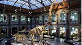 Best Dinosaur Fossil Museum