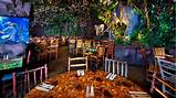 Downtown Disney Rainforest Cafe Reservations