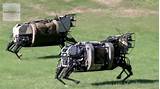 Photos of Military Robot Dog