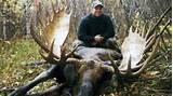 Photos of Alberta Moose Outfitters