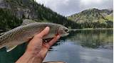 Alpine Lake Fishing Images