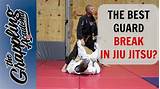 Brazilian Jiu Jitsu X Guard Pictures