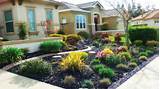 Pictures of No Lawn Front Yard Landscaping