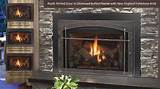 Pictures of Gas Log Fireplace Insert With Blower