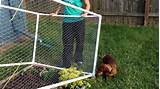 Images of Cheap Fencing To Keep Dogs In
