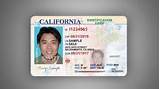 Images of Online Study For Drivers License