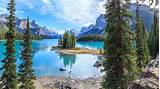 Calgary To Jasper National Park Images