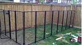 Pictures Of Backyard Fences Pictures