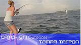 Tampa Bay Tarpon Fishing Images