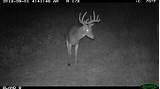 Images of Pike County Il Hunting Outfitters