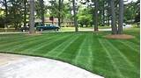 Images of Lawn Care In Spring