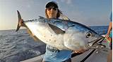 Blue Marlin Fishing Kona Images