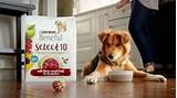 Beneful Dog Food Commercial Voice Photos